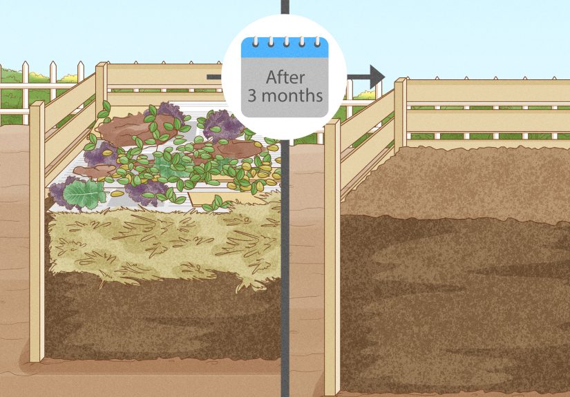 How to Compost Horse Manure: 7 Steps