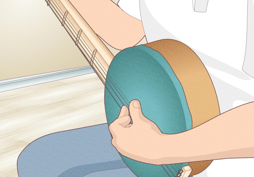 How to Make a Banjo for Fun