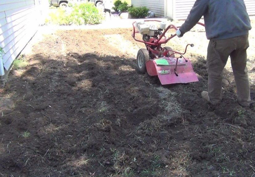 How to Make a Simple Garden Path DIY