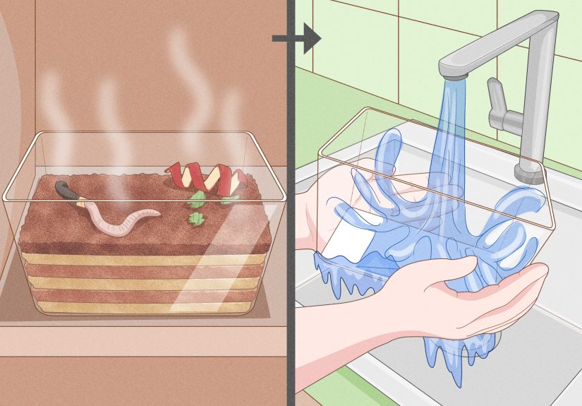 How to Make a Worm Habitat: 10 Steps