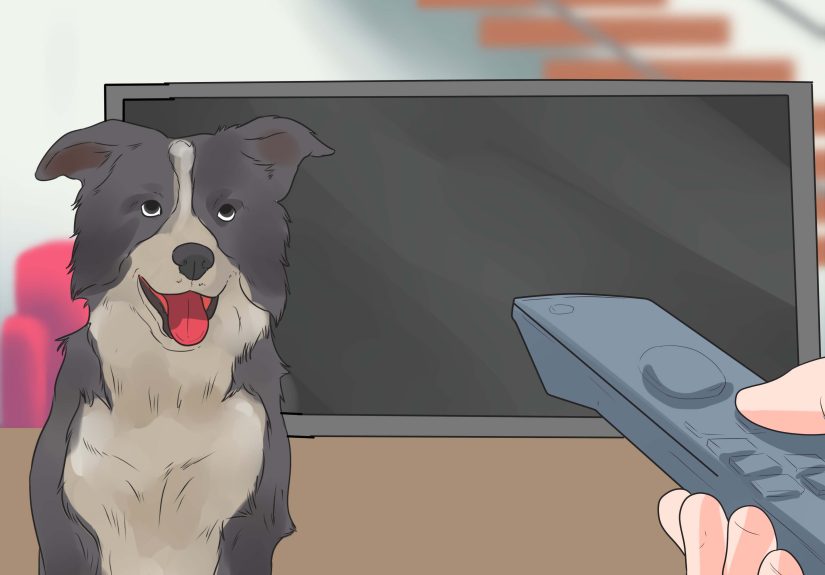 How to Stop a Dog Barking at Other Dogs