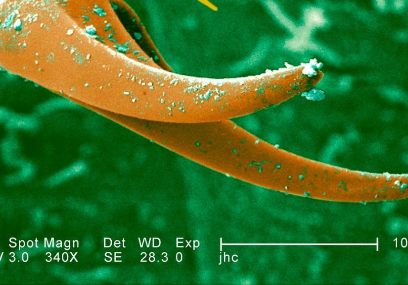Optical Ruler Measures All the Way Down to the Nanoscale