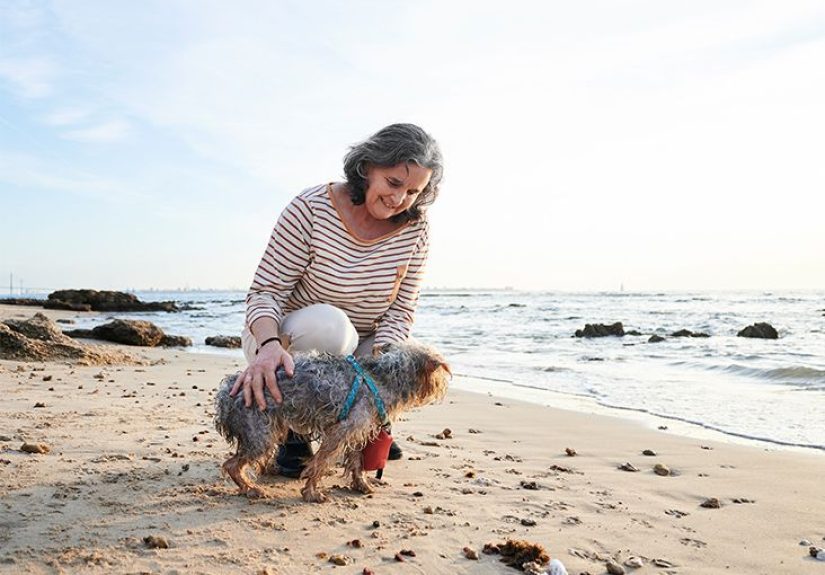 Osteoarthritis: New Drug May Help Stop Symptoms