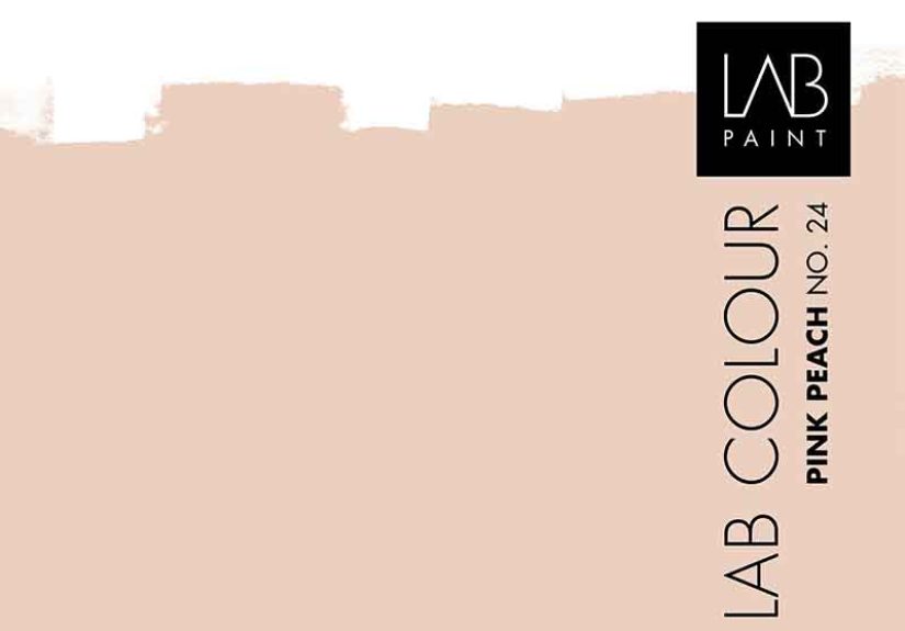 Pink Peach Lab Wallpaint