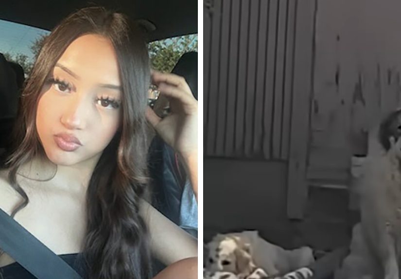 Teen Daughter's Heartbreaking Question To Mom After Being Brutally Mauled By A Pack Of Dogs Has People In Tears