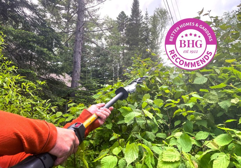 The 5 Winners of Our Best Hedge Trimmers Tests