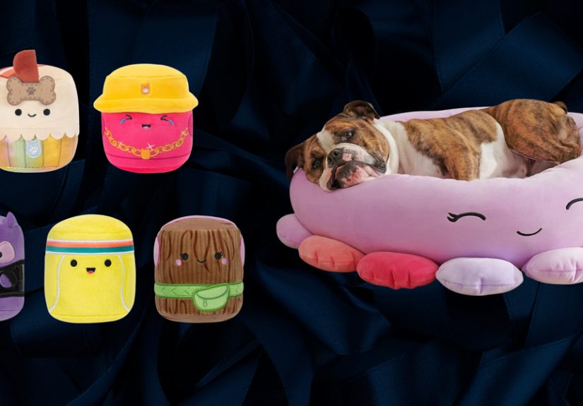 The Best Squishmallow Gifts for Pets That Love to Snuggle