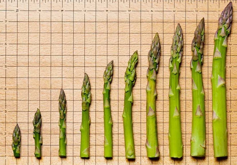 When Does Your Penis Stop Growing?