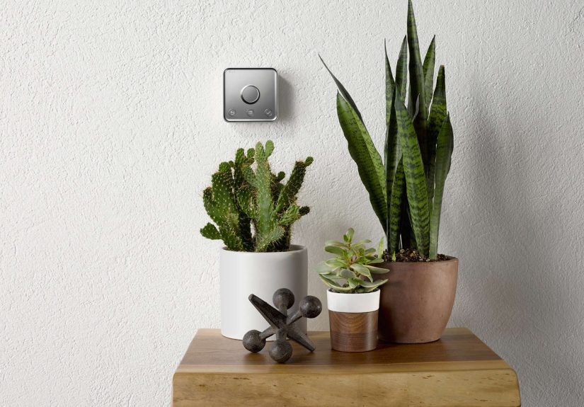 World's Best-Looking Thermostat, UK Edition