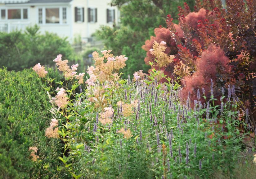 Your October Garden Checklist: What to Do Now, Region by Region