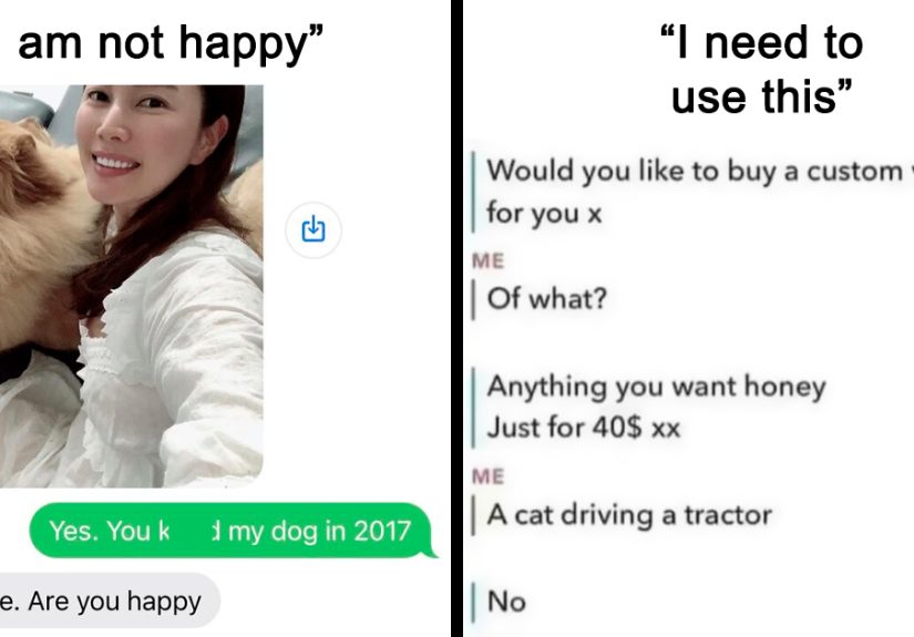 45 Times Scammers Messaged The Wrong Person And Got Hilariously Owned