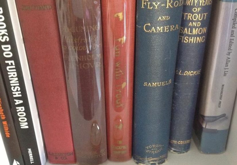 5 Tips for Taking Care of Your Books