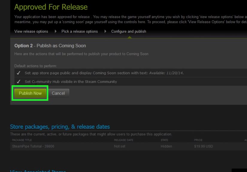 A Detailed Guide to Getting Your Game on Steam