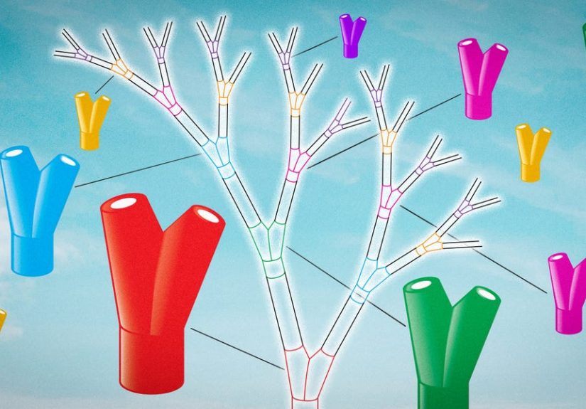 Designer Michael Simon Toon Finds Fibonacci Sequence in Synthetic Tree Design