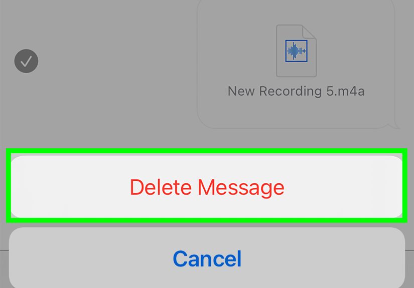 Do Voice Messages Disappear Before Being Read: iPhone