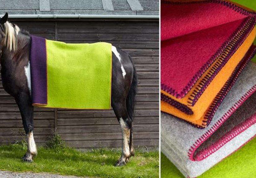 Double Sided Wool Blanket