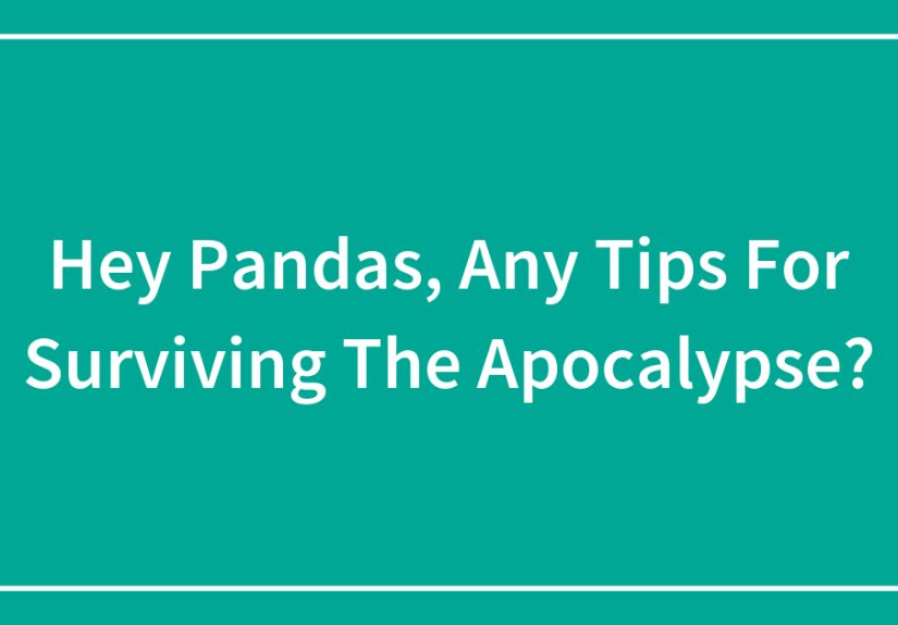 Hey Pandas, Any Tips For Surviving The Apocalypse?