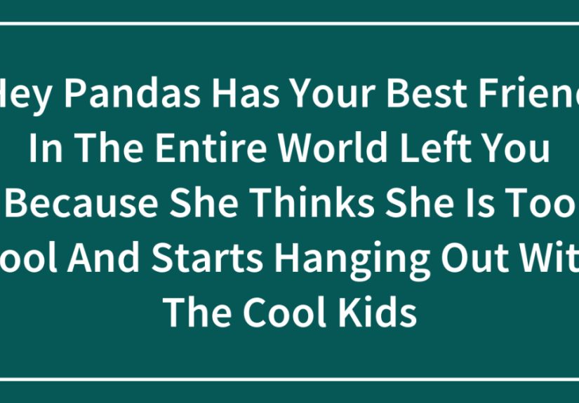 Hey Pandas Has Your Best Friend In The Entire World Left You Because She Thinks She Is Too Cool And Starts Hanging Out With The Cool Kids