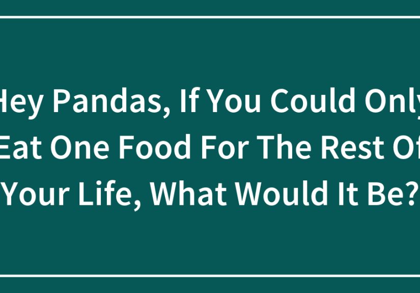 Hey Pandas, If You Could Only Eat One Food For The Rest Of Your Life, What Would It Be?