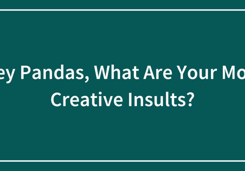 Hey Pandas, What Are Your Most Creative Insults?