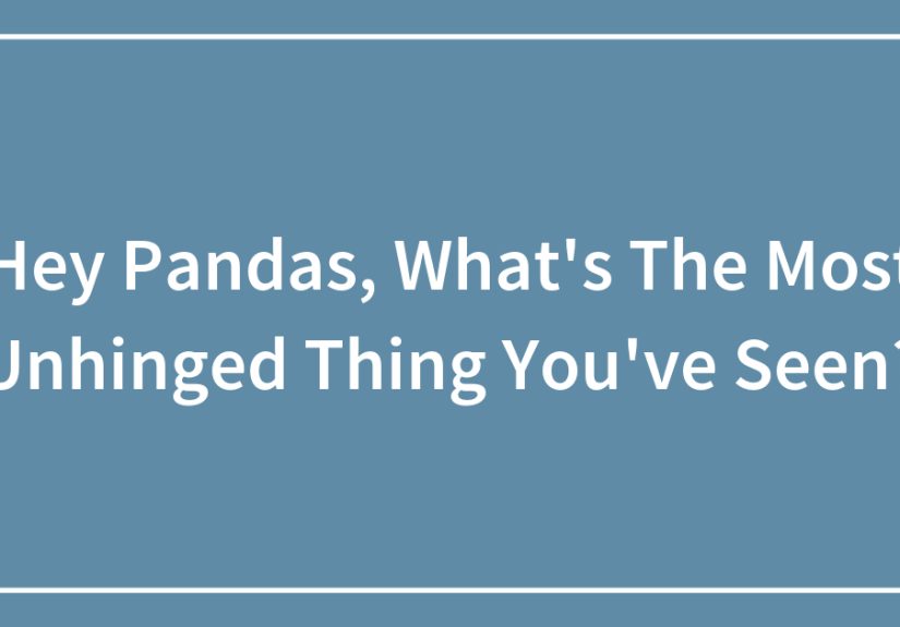 Hey Pandas, What’s The Most Unhinged Thing You’ve Seen?