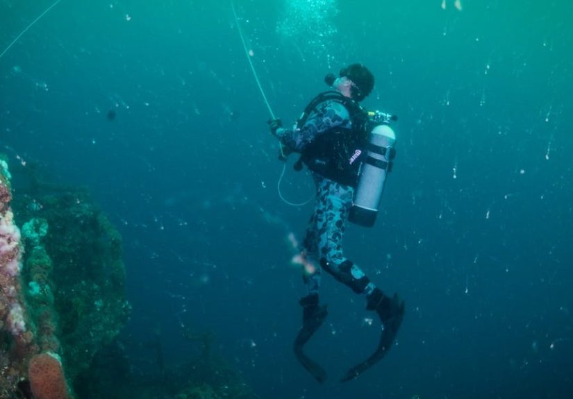 How a Chinese Warship Injured Divers With Blasts of Sonar