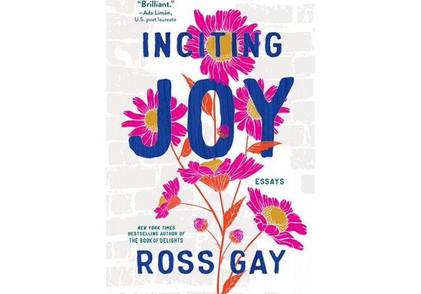 Inciting Joy: Essays