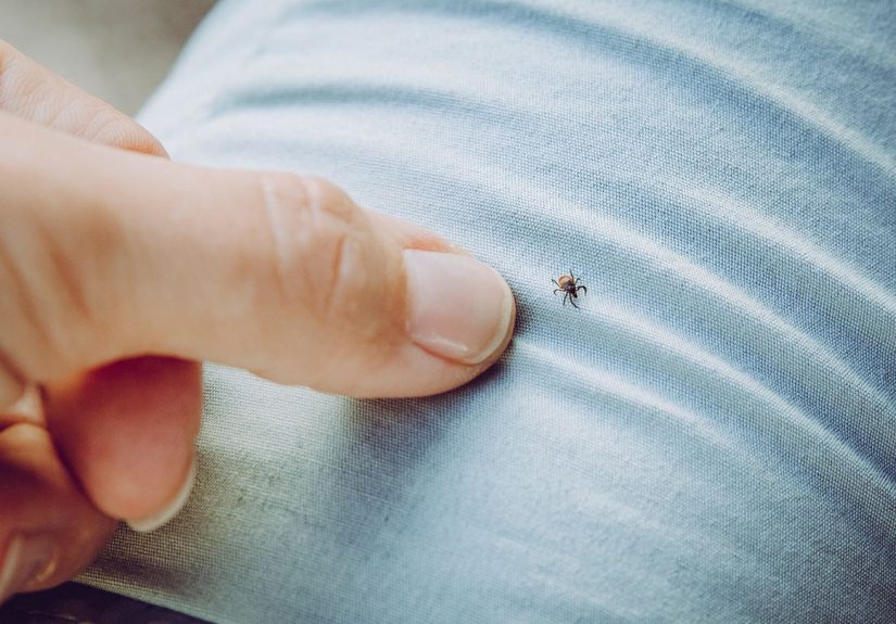 Rare Virus Spread by Ticks Kills Maine Resident