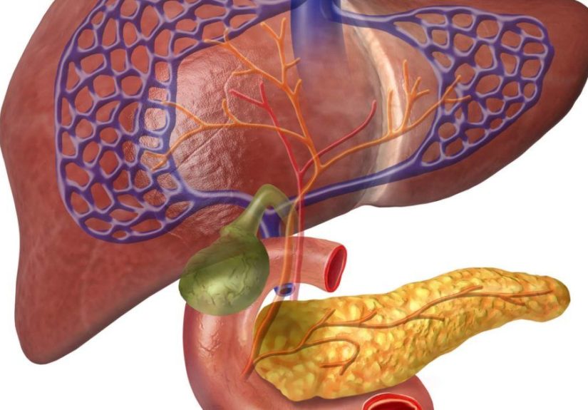 Sphincter of Oddi dysfunction: Symptoms, diet, and relief