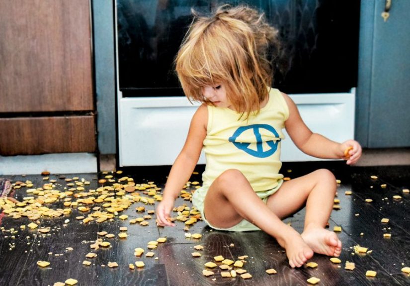 The 5-Second Rule for Food: Fact or Fiction?