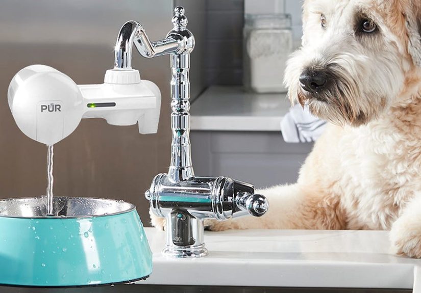 The 7 Best Faucet Water Filters for High-Quality H20