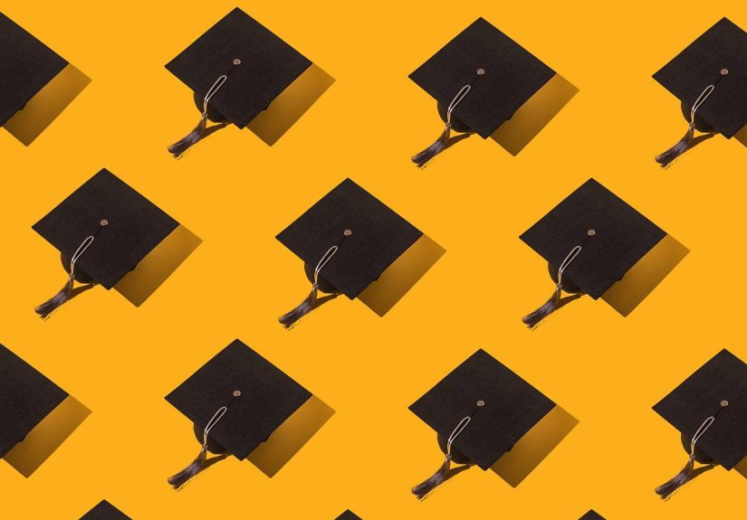 The Best College in Each State