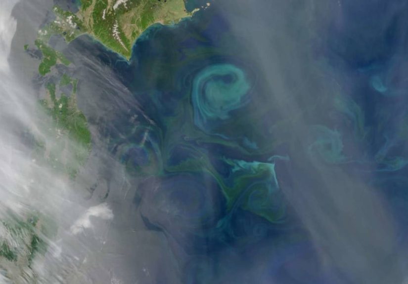 The Current That Carried Shipwrecked Sailors Across the Pacific