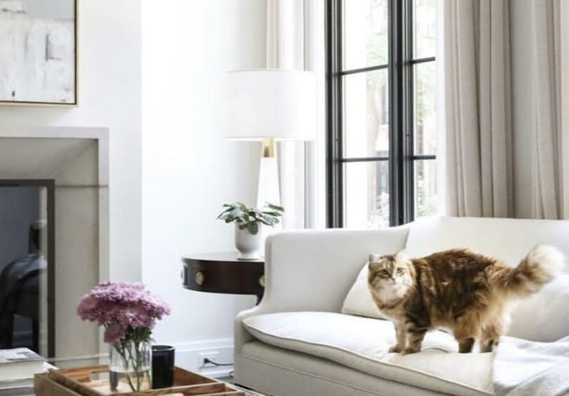 Transitional Design Style: How to Get the Look In 4 Easy Steps DIY